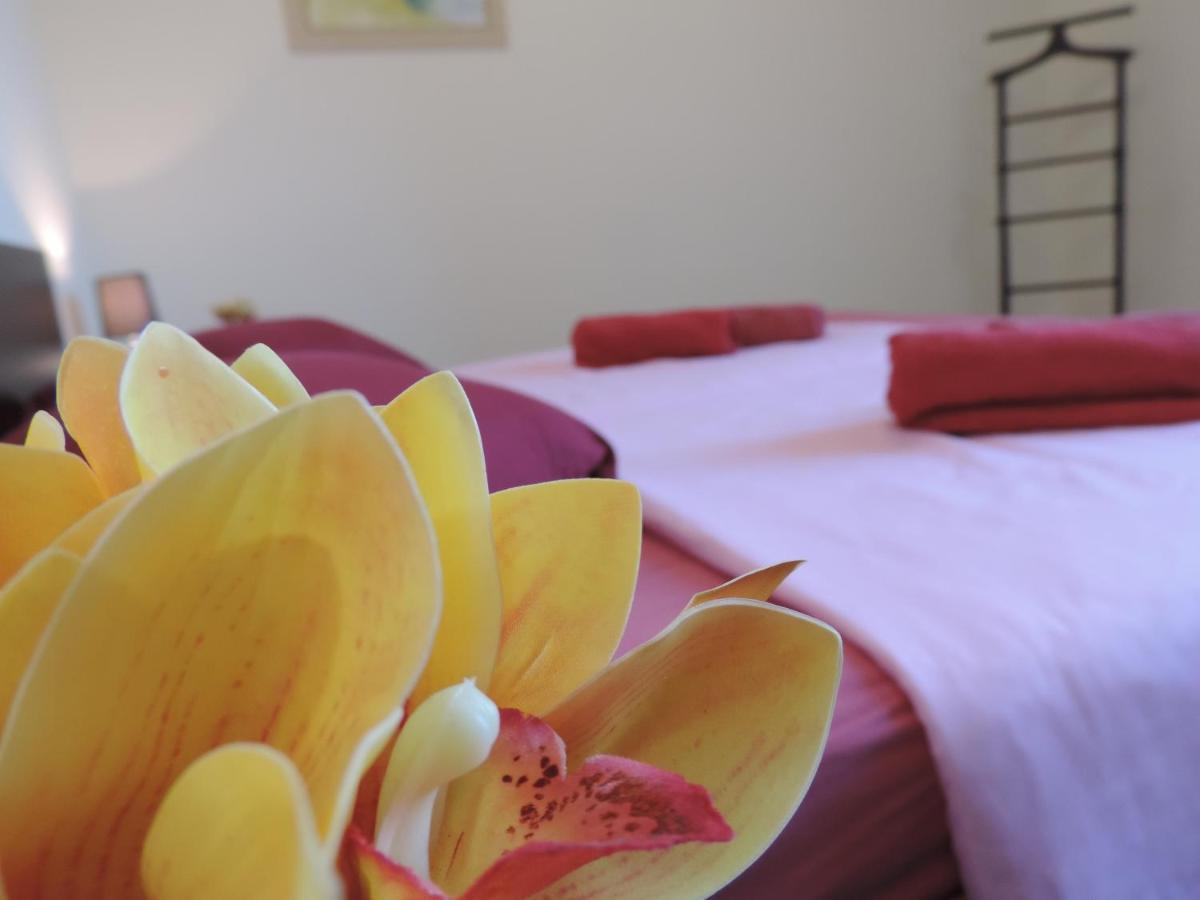 Cabinet Boutique Hotel 第比利斯 外观 照片